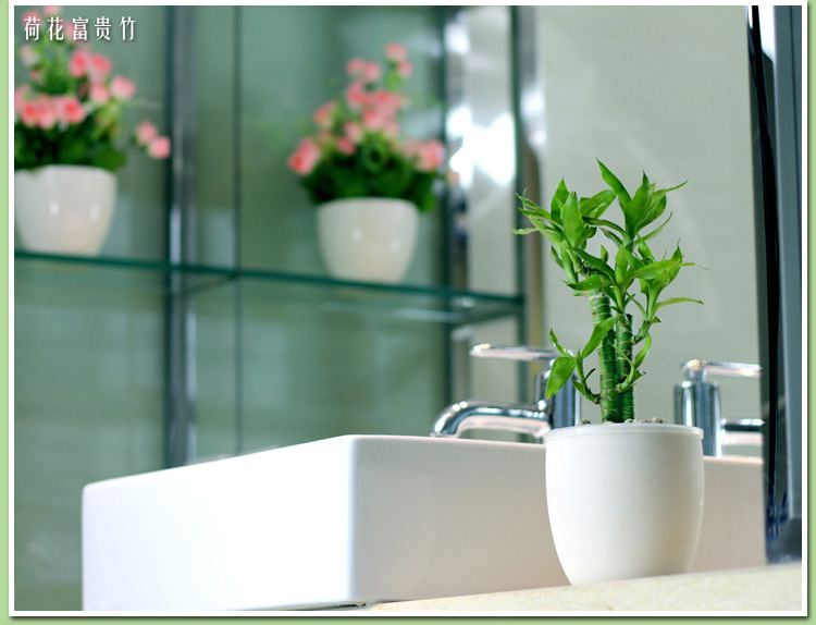 室内养什么植物对风水好点 55d2e73f8efd978d308b4586.jpg
