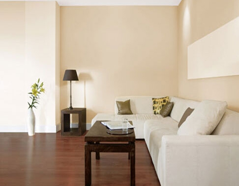 墙面如何打底灰 565be1b78f1e030f528b46ff.jpg