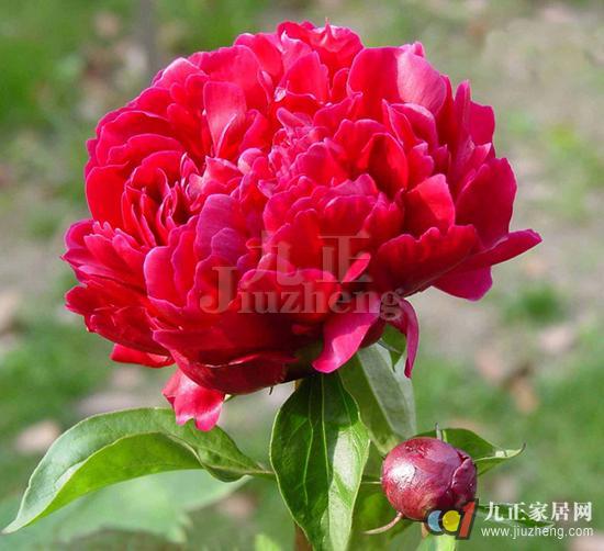56ecbc198f1e03c2288b458f.jpg